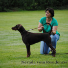 Nevada vom Residenzschloss